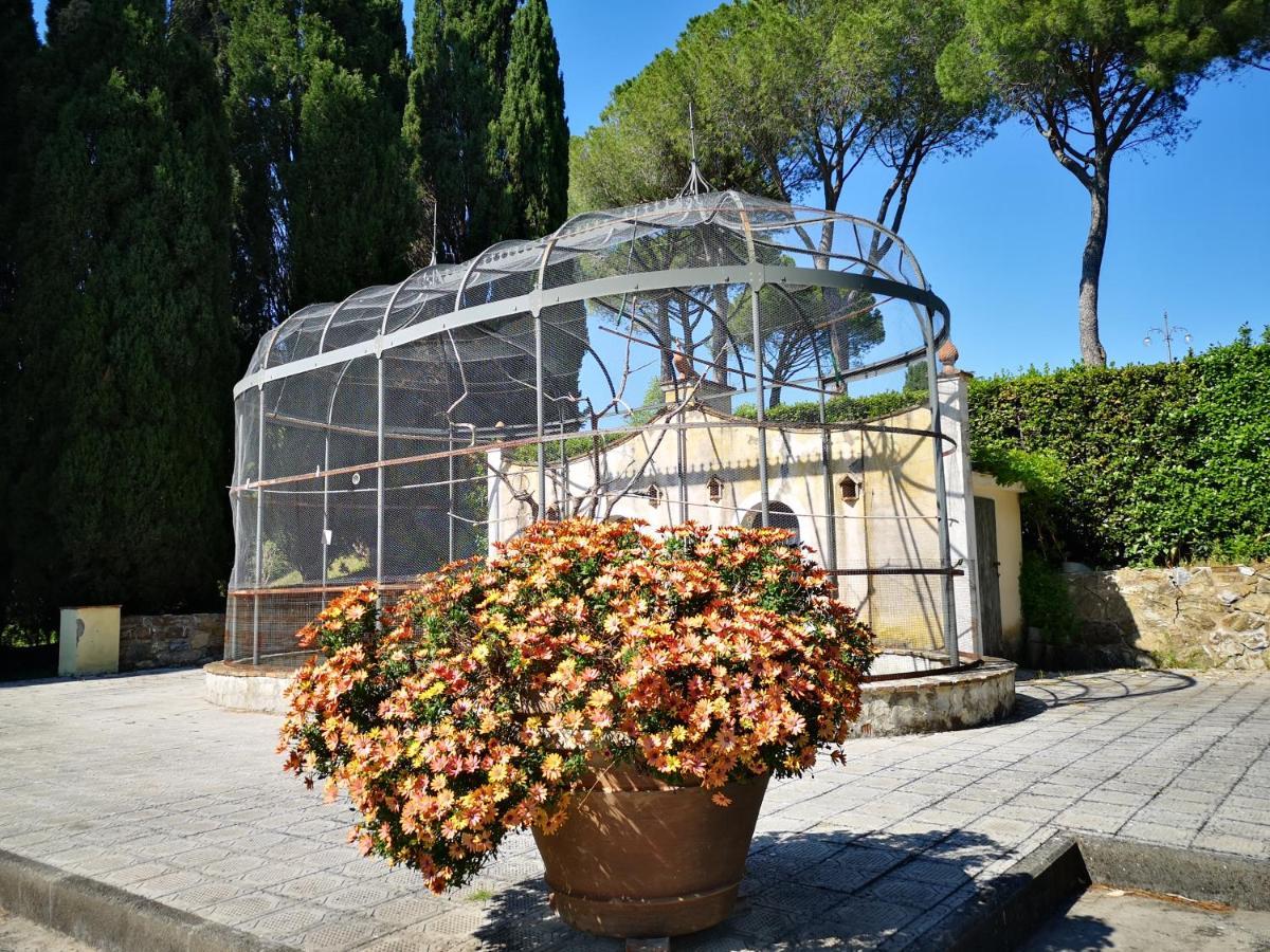 Villa Bellaria Campagnatico Εξωτερικό φωτογραφία
